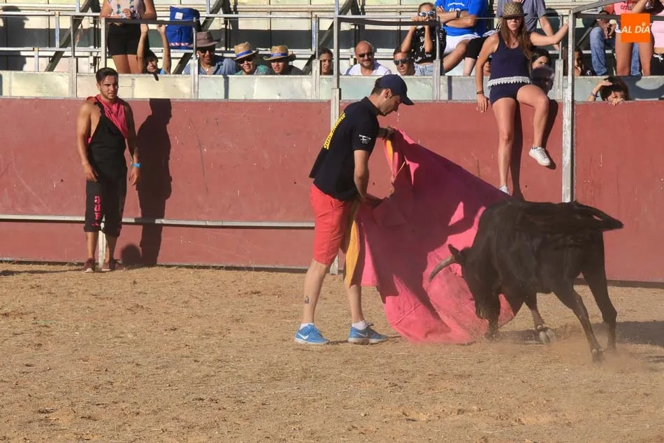 Foto 5 - Emocionante y animada suelta de vaquillas en Carbajosa de la Sagrada