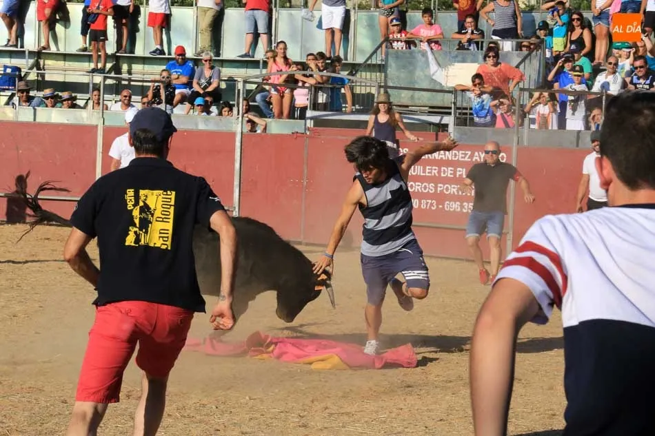 Foto 4 - Emocionante y animada suelta de vaquillas en Carbajosa de la Sagrada