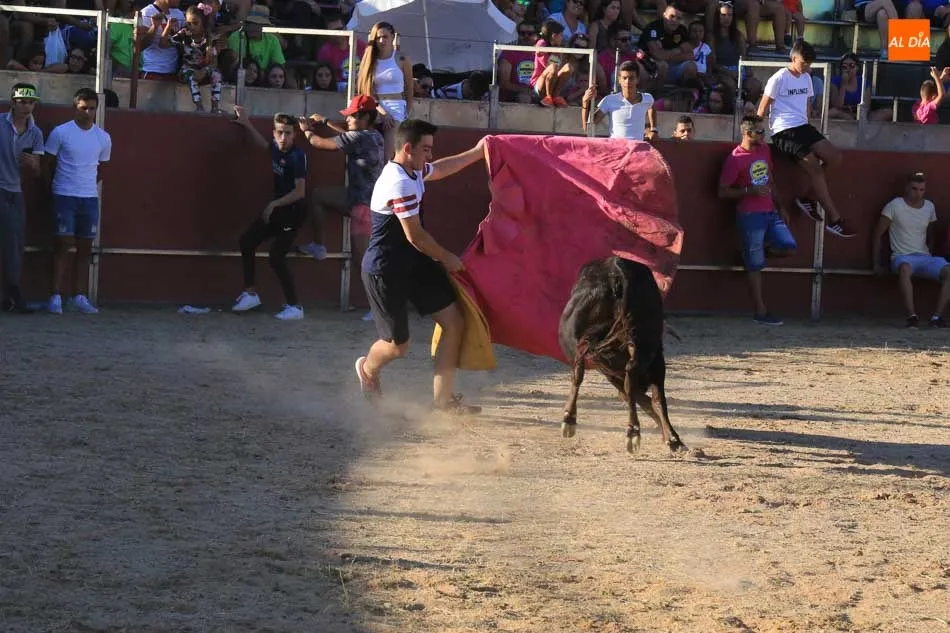 Foto 3 - Emocionante y animada suelta de vaquillas en Carbajosa de la Sagrada