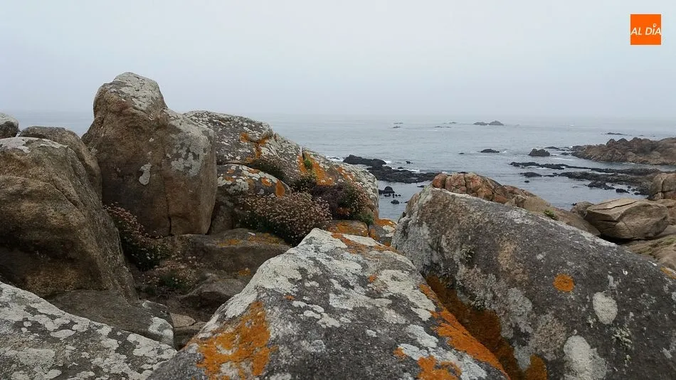 Foto 6 - Piscina das Mar&eacute;s, entre el oc&eacute;ano y la roca  