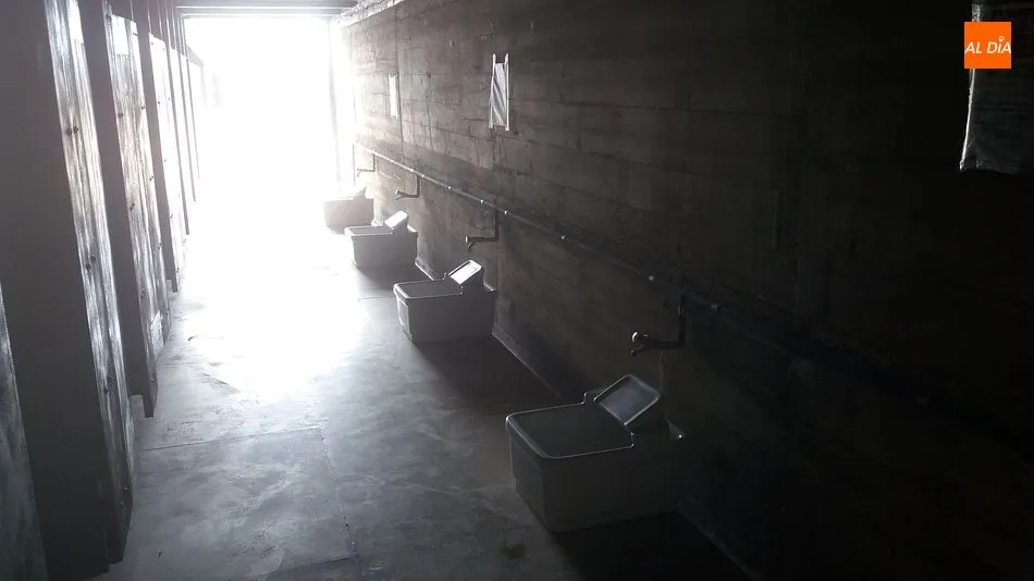 Foto 5 - Piscina das Mar&eacute;s, entre el oc&eacute;ano y la roca  
