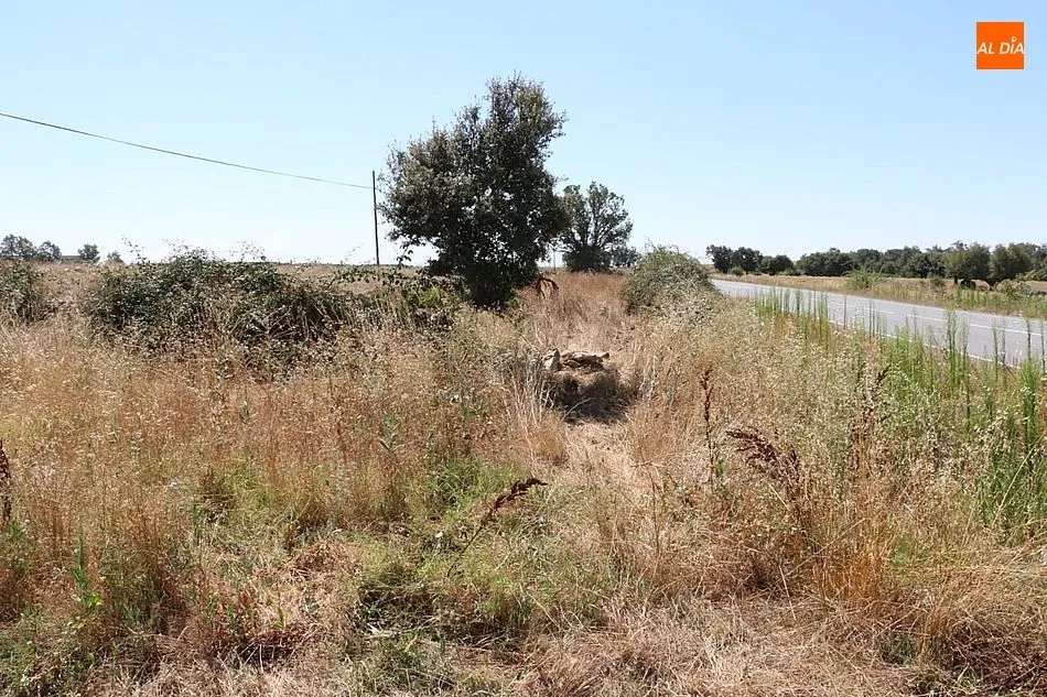 Foto 11 - Herido grave un vecino de Vitigudino al salirse de la v&iacute;a en la carretera SA-315