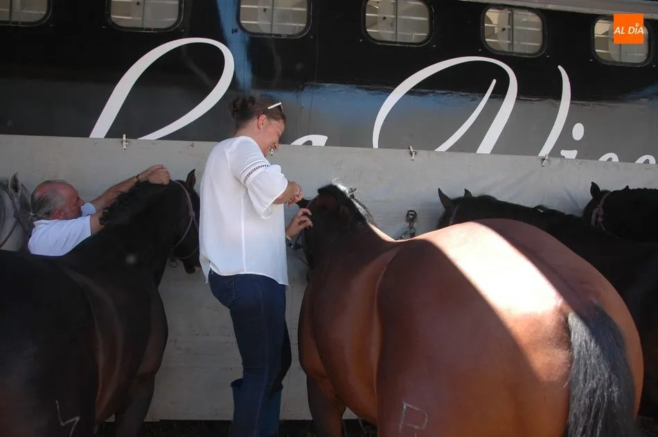 Foto 4 - Gran expectaci&oacute;n en el desenjaule de la corrida de Padilla, Castella y Lean Vicens en Vitigudino  