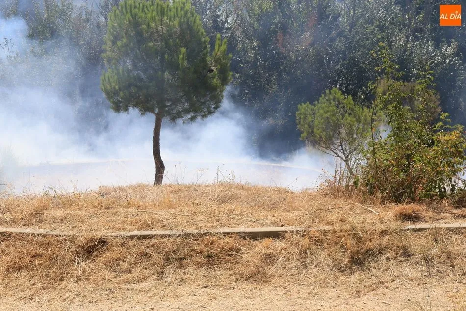 Foto 6 - Un aparatoso fuego desata la alarma en la zona entre el Arrabal y el Zurgu&eacute;n