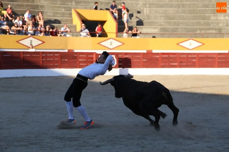Foto 7 - David S&aacute;nchez vence en el concurso de cortes de Babilafuente