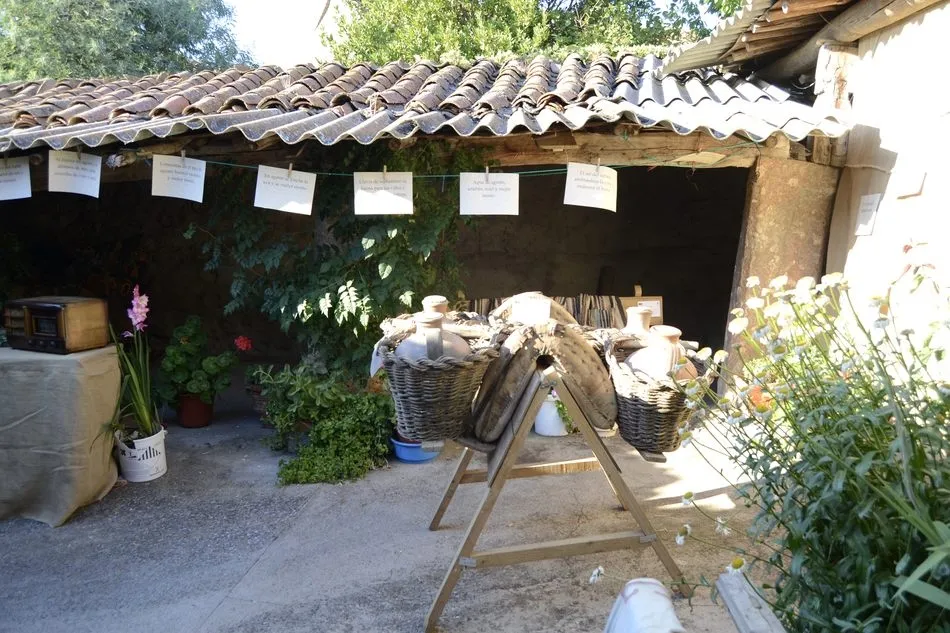 Foto 10 - &lsquo;Saberes y Sabores&rsquo;, un atractivo para visitar A&ntilde;over de Tormes