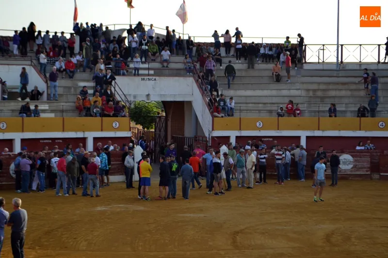 Foto 4 - Sin sobresaltos en el segundo encierro de Macotera