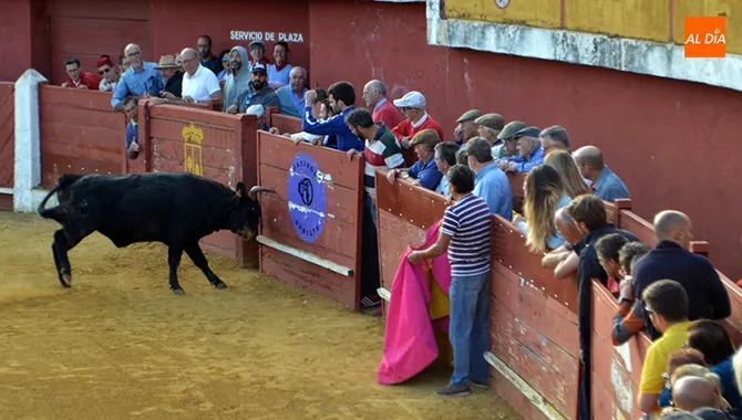 Multitud de aficionados acudieron este viernes al segundo encierro de las fiestas de Macotera