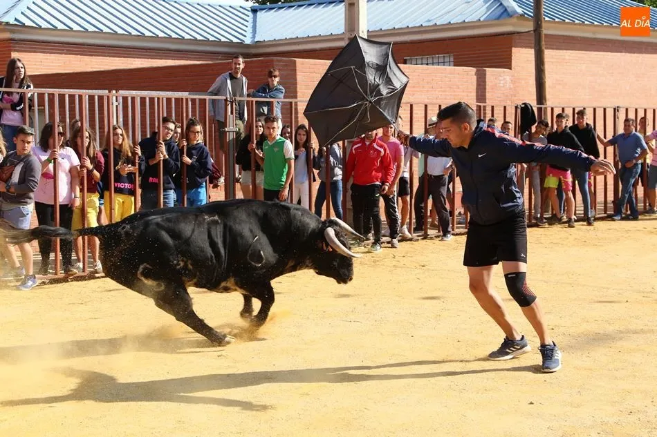 Un mozo con el primer novillo del encierro
