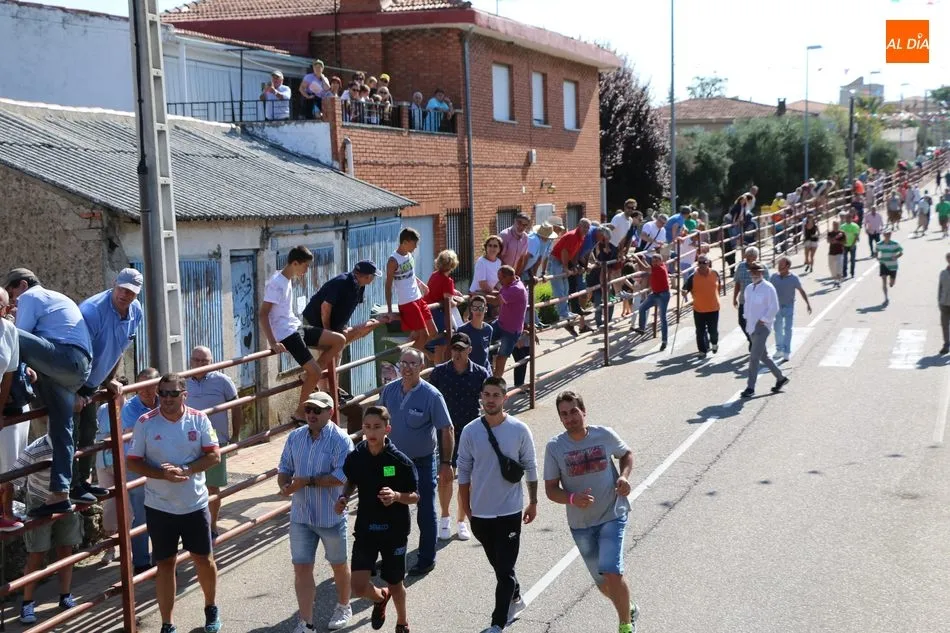Foto 6 - Bonito encierro en Villarino con novillos de Ignacio L&oacute;pez-Chaves