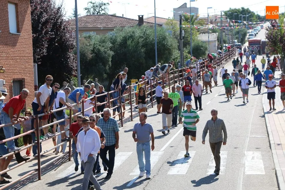 Foto 4 - Bonito encierro en Villarino con novillos de Ignacio L&oacute;pez-Chaves