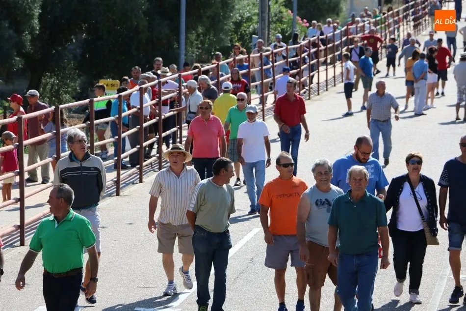 Foto 2 - Bonito encierro en Villarino con novillos de Ignacio L&oacute;pez-Chaves