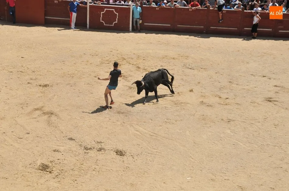 Foto 2 - Un herido en el primer encierro a caballo de las Fiestas de Toros de Lumbrales
