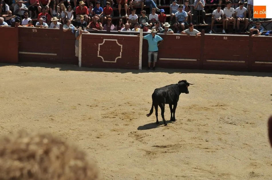 Foto 8 - Un herido en el primer encierro a caballo de las Fiestas de Toros de Lumbrales