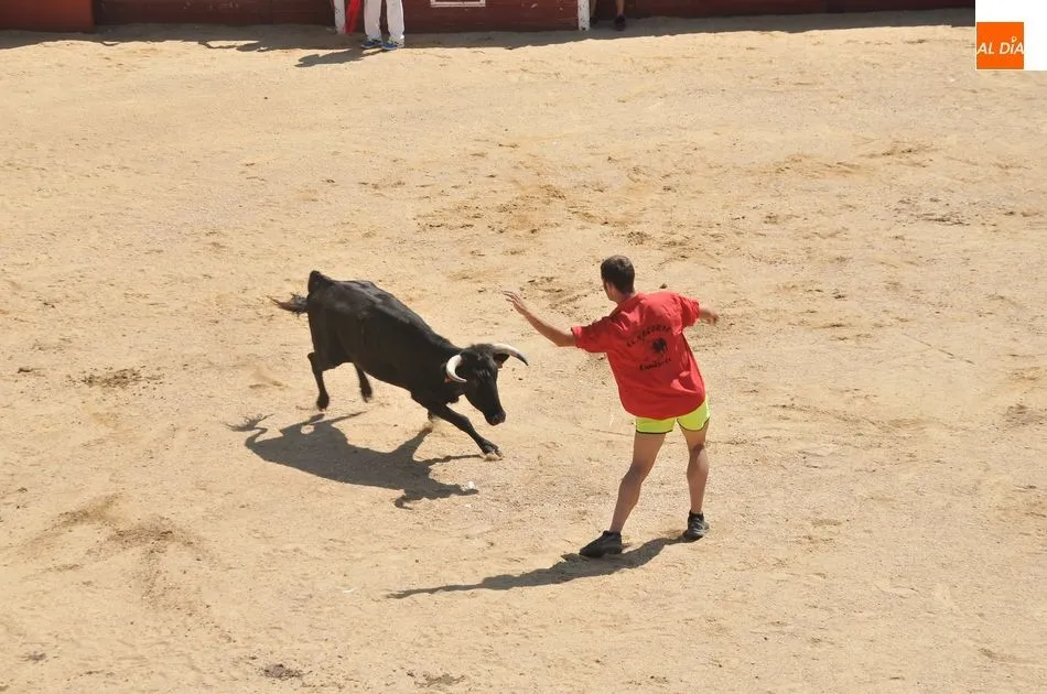 Foto 5 - Un herido en el primer encierro a caballo de las Fiestas de Toros de Lumbrales