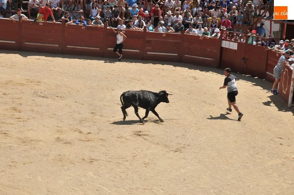 Foto 6 - Un herido en el primer encierro a caballo de las Fiestas de Toros de Lumbrales
