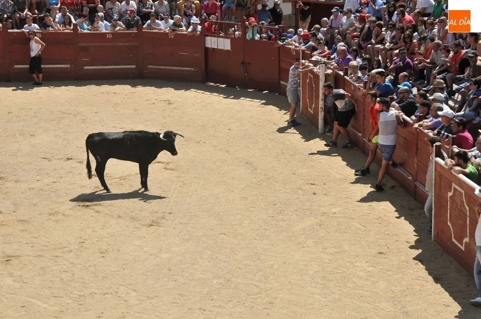 Foto 9 - Un herido en el primer encierro a caballo de las Fiestas de Toros de Lumbrales