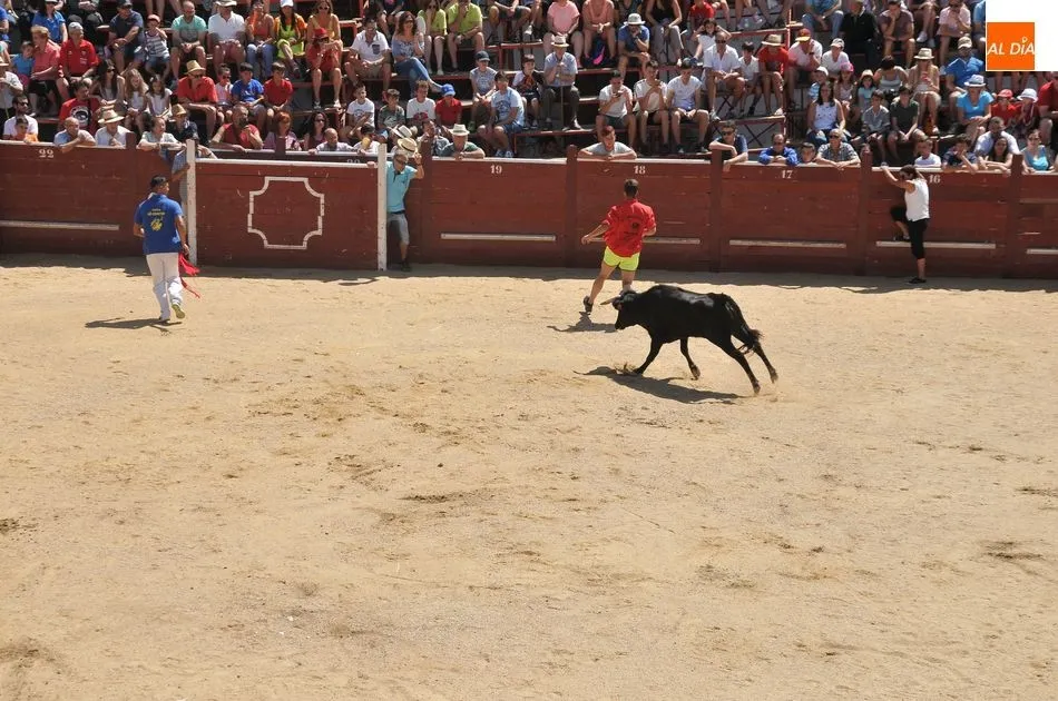 Foto 10 - Un herido en el primer encierro a caballo de las Fiestas de Toros de Lumbrales