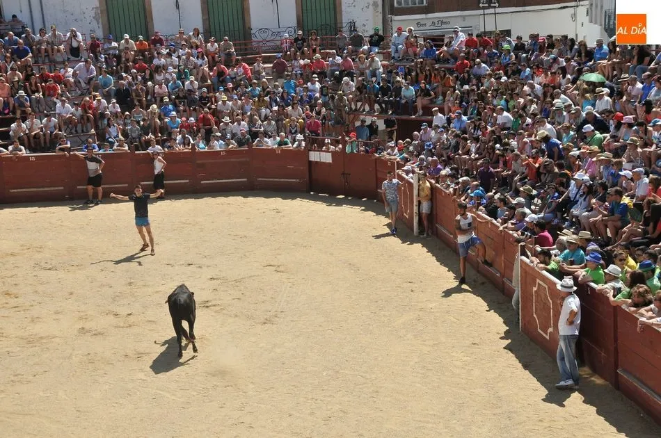 Foto 11 - Un herido en el primer encierro a caballo de las Fiestas de Toros de Lumbrales