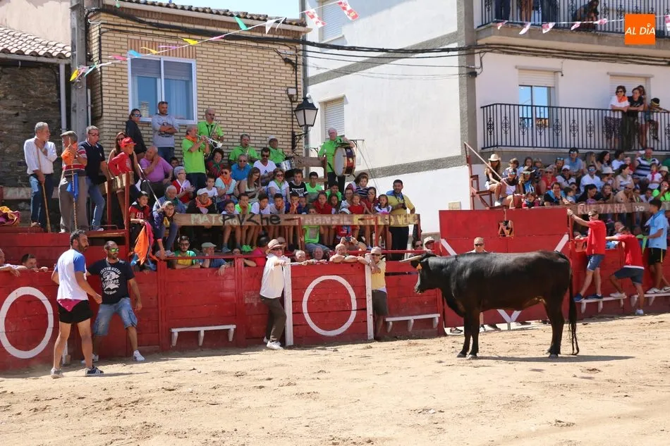Foto 4 - Plaza hasta la bandera en Vilvestre para ver los novillos de Valrubio  