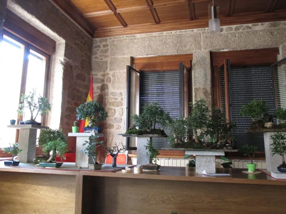 Foto 5 - Curiosa&nbsp;colecci&oacute;n de bons&aacute;is de Jos&eacute; Castro en Villavieja de Yeltes&nbsp;  