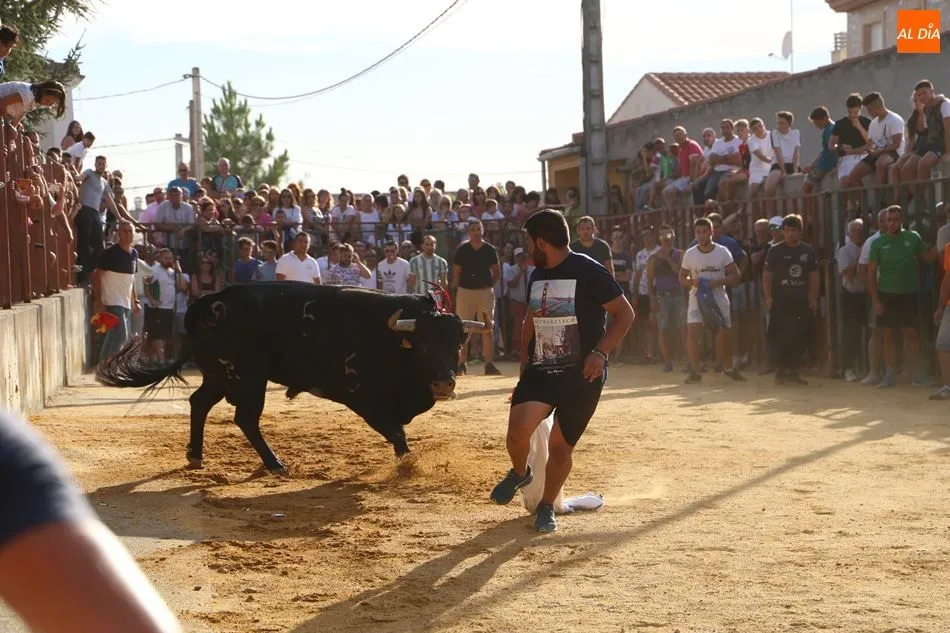 El público ha seguido con atención el festejo desde las talanqueras y el recinto del colegio