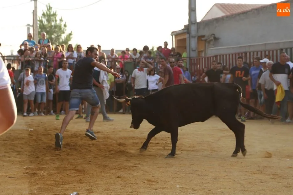 Foto 10 - Pasi&oacute;n Taurina Babilafuente celebra con &eacute;xito su segundo Toro de Caj&oacute;n