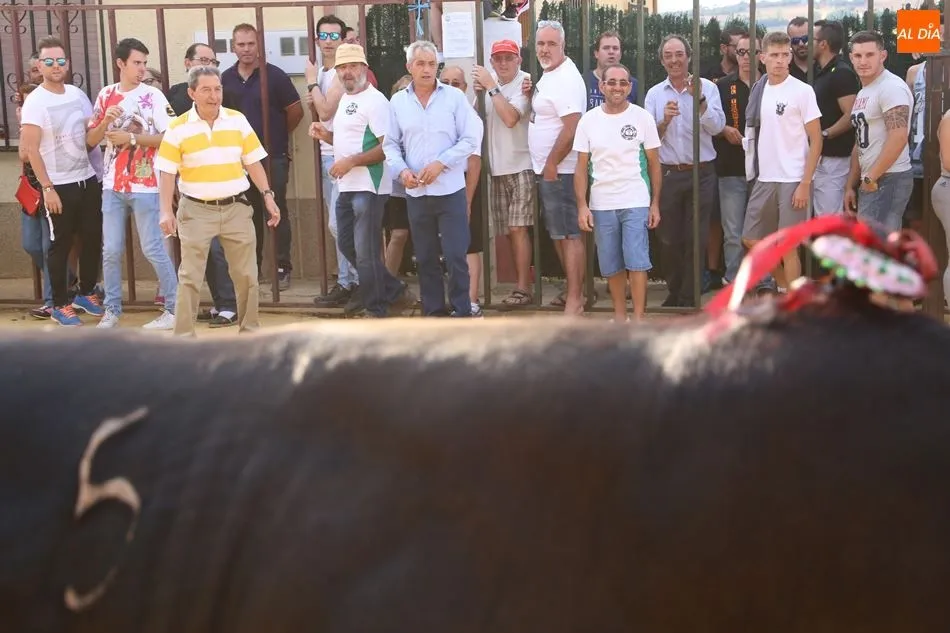 Foto 6 - Pasi&oacute;n Taurina Babilafuente celebra con &eacute;xito su segundo Toro de Caj&oacute;n