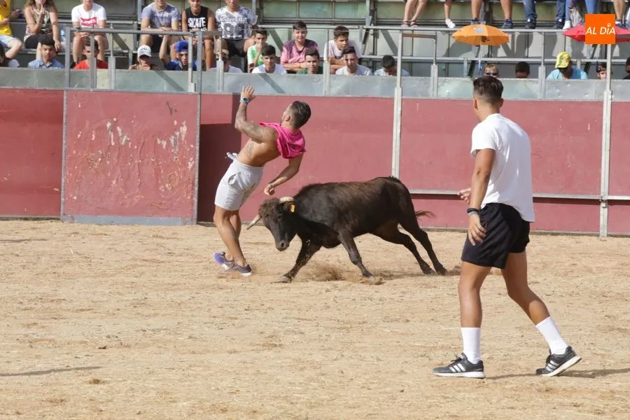 Momento del Gran Prix en la plaza de toros del Prado de la Vega / Foto: Alberto Martín.