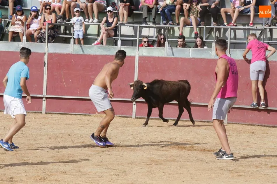 Foto 9 - Un Gran Prix multitudinario eleva la temperatura en la plaza de toros  