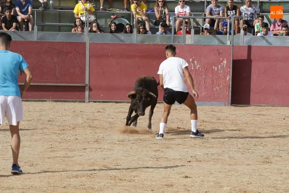 Foto 6 - Un Gran Prix multitudinario eleva la temperatura en la plaza de toros  