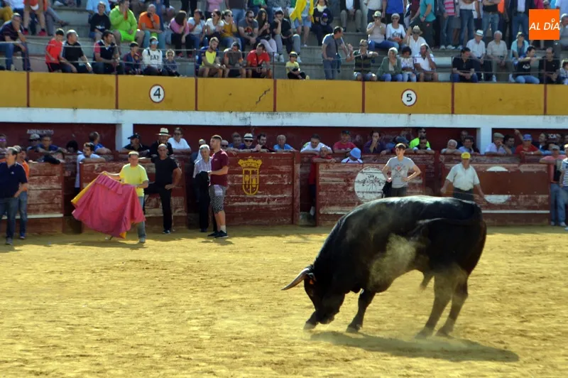 Foto 9 - R&aacute;pido, peligroso y vibrante XVIII Encierro a Caballo de Macotera&nbsp;