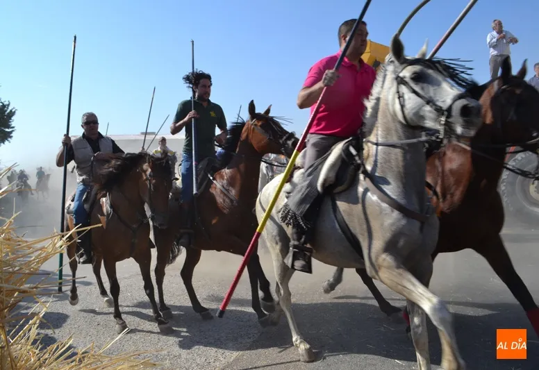 Foto 8 - R&aacute;pido, peligroso y vibrante XVIII Encierro a Caballo de Macotera&nbsp;
