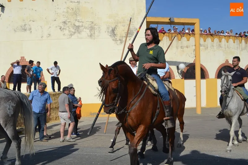 Foto 6 - R&aacute;pido, peligroso y vibrante XVIII Encierro a Caballo de Macotera&nbsp;