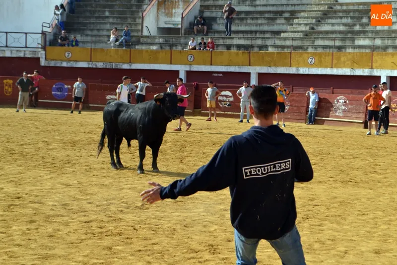 Foto 3 - R&aacute;pido, peligroso y vibrante XVIII Encierro a Caballo de Macotera&nbsp;
