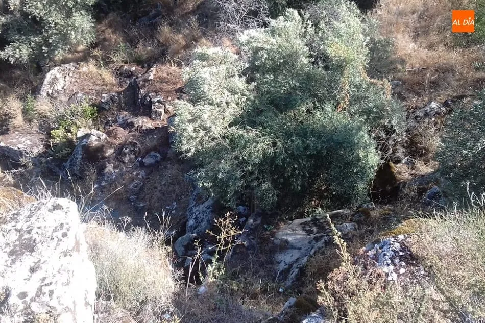 Foto 2 - El vandalismo tambi&eacute;n aparece durante las fiestas en Villarino  