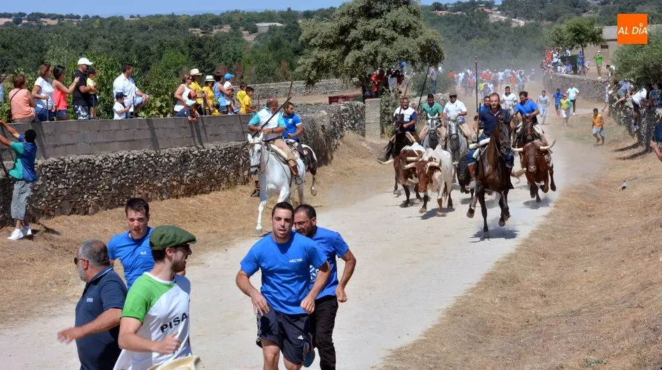 Foto 8 - Peligroso y complicado encierro de Miranda de Pericalvo en Lumbrales&nbsp;