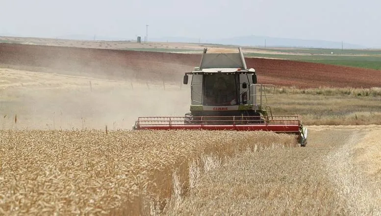 El precio del cereal sigue escalando en la lonja de Salamanca
