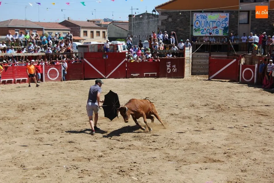 Foto 10 - Bonito y r&aacute;pido&nbsp;el segundo encierro de Vilvestre con novillos de Rollanejo  