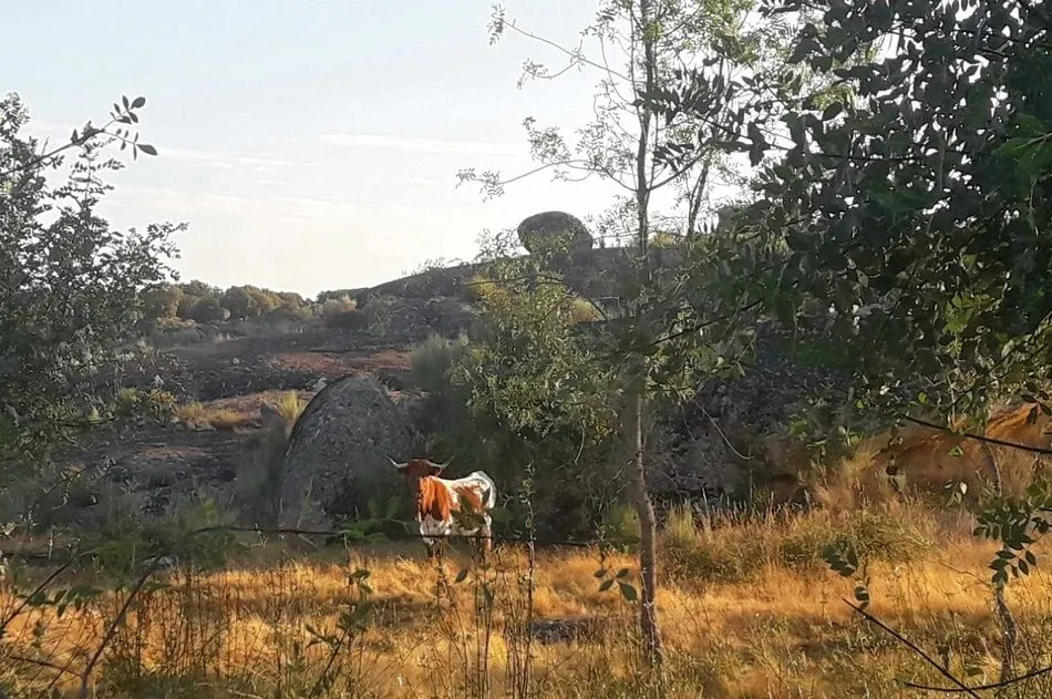 Foto 7 - Las casas de turismo rural &lsquo;El charro del Yeltes&rsquo;&nbsp;organizan una jornada de senderismo  