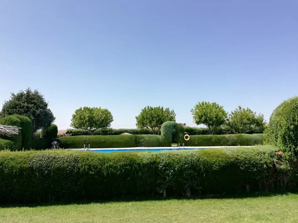Foto 5 - El equipo &lsquo;Los Guerreros&rsquo; del Gran Prix disfruta de su premio en Hinojosa de Duero  