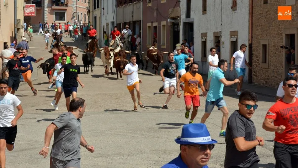 Novillos, cabestros y jinetes por la calle Las Cruces / E. Corredera