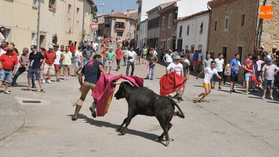 Foto 7 - Lumbrales despide las Fiestas de Toros con un entretenido encierro a caballo y la suelta de cuatro...