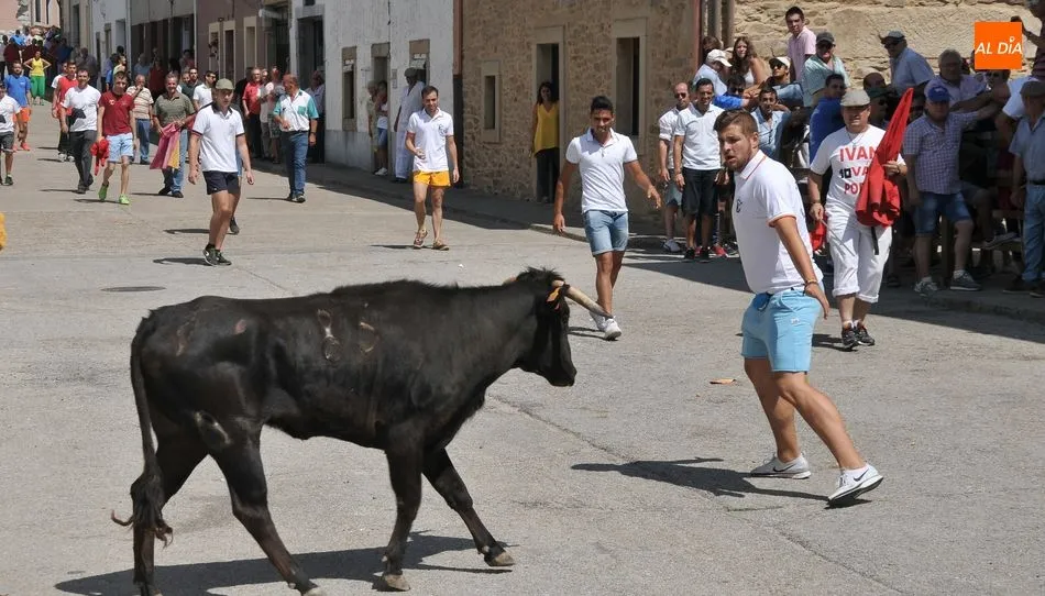 Foto 4 - Lumbrales despide las Fiestas de Toros con un entretenido encierro a caballo y la suelta de cuatro...