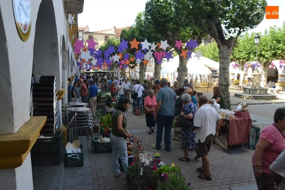 Foto 11 - El mercado de los martes comparte Plazuela con la gran &lsquo;jaima&rsquo; del Divierteatro  