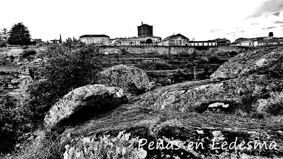 Foto 3 - Homenaje a Bletisa en 1923
