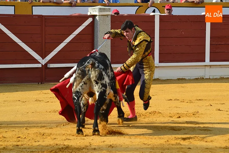 Foto 10 - Generosa entrada para una novillada de entidad en Pe&ntilde;aranda de Bracamonte