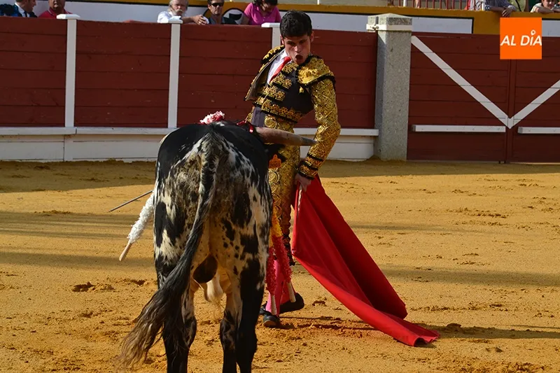 Foto 7 - Generosa entrada para una novillada de entidad en Pe&ntilde;aranda de Bracamonte
