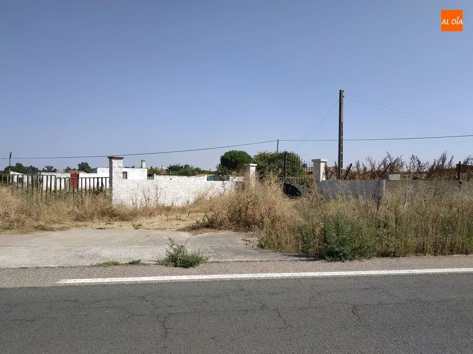 La maleza crece junto a la calzada de la vía