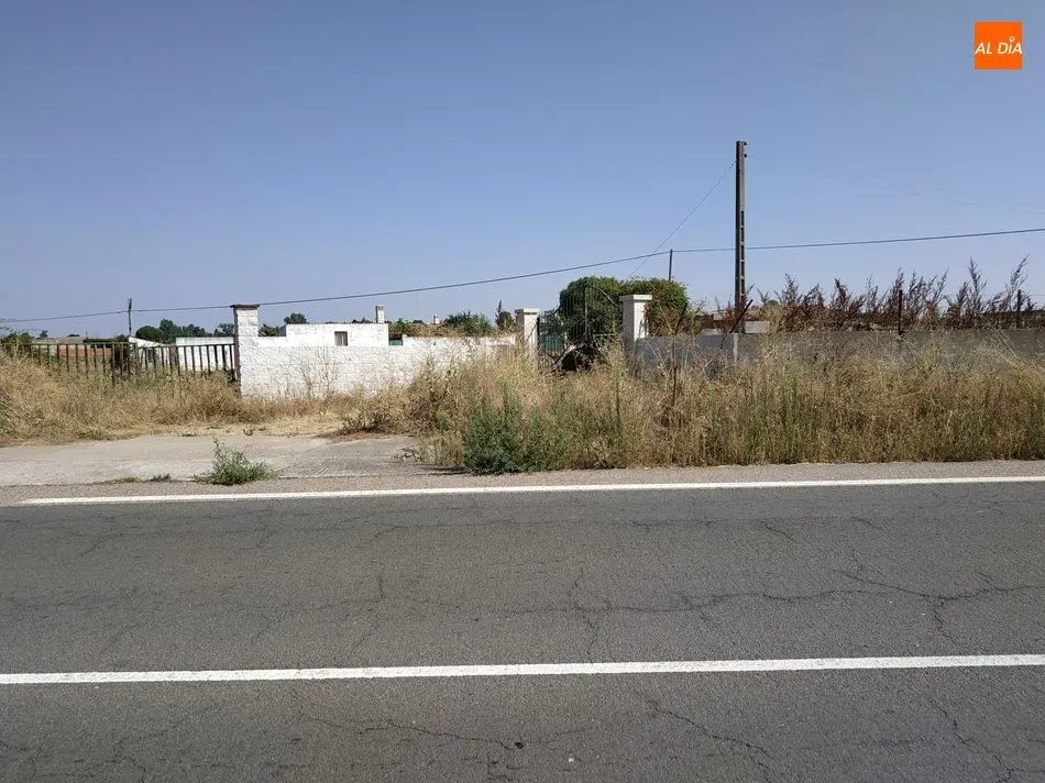 Foto 2 - Preocupaci&oacute;n por la falta de limpieza de las cunetas en la carretera de Salamanca a La Fregeneda